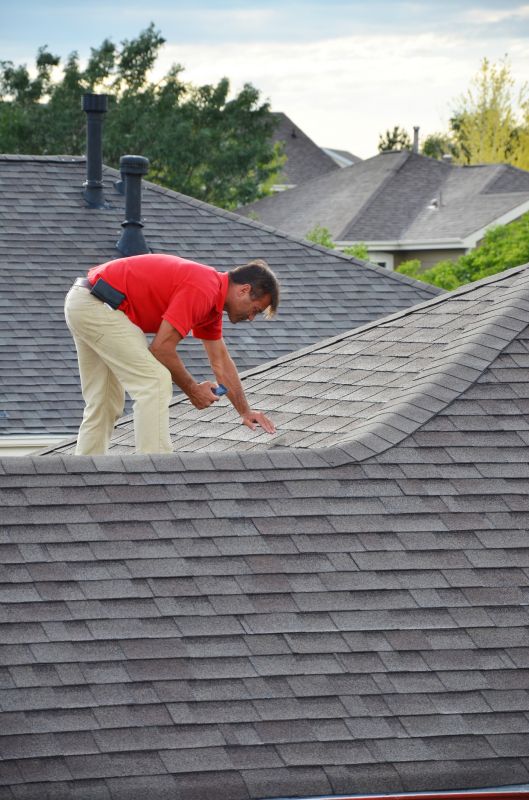 Detailed Roof Inspection